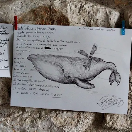 Il Mulino Di Amleto - Letterario * Molfetta