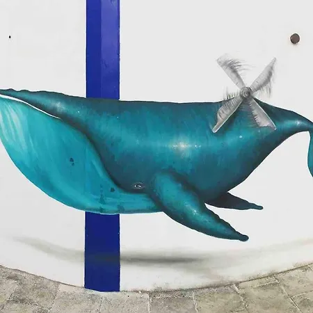Il Mulino Di Amleto - Letterario * Molfetta